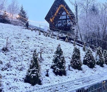 Slavske Apartment | Valley Hills-котедж на схилах гір з чаном-джакузі