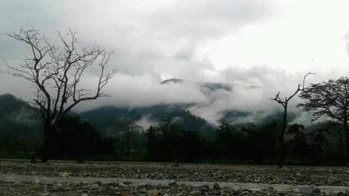 Alipurduar Cabin | Vamoose Aaltapori