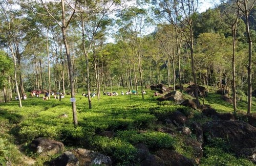 Kurseong House | Vamoose Poomong