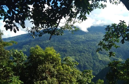 Kurseong House | Vamoose Poomong