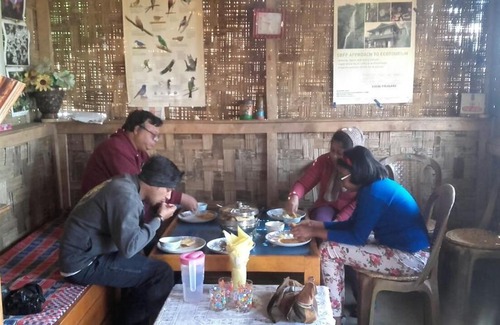 Geyzing House | Vamoose Red Panda