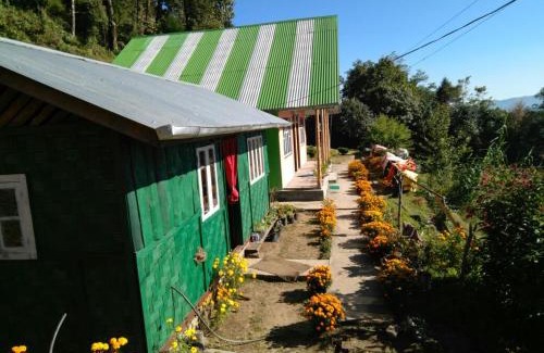 Geyzing House | Vamoose Red Panda