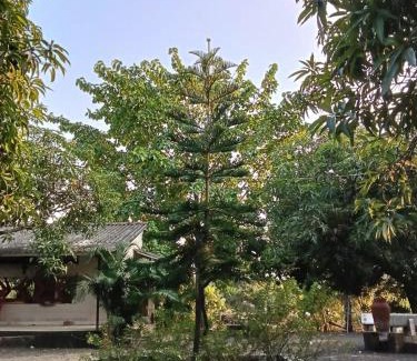 Gir National Park House | Van Vagdo Prakruti Nivas