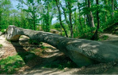 Rovinella House | Vandelli B&B - Semplice Ospitalità per i viandanti a Lama Mocogno