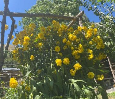 Vardzia Ski Chalet | Vardzia Chachkari Cottage