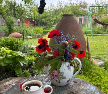 Mirzaani House | Vashlovani Sweet Home