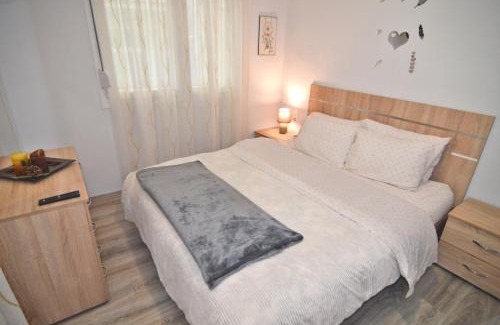 Kastoria Apartment | Vasilikis spacious apartment