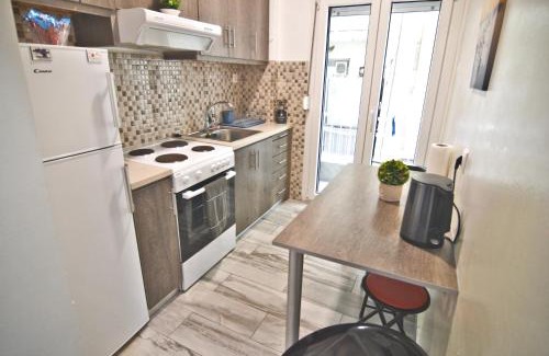 Kastoria Apartment | Vasilikis spacious apartment