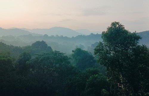 Thodupuzha Apartment | Vcode HillView