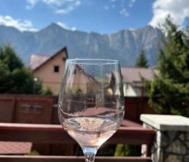 Busteni House | Venus - Apartamente de închiriat