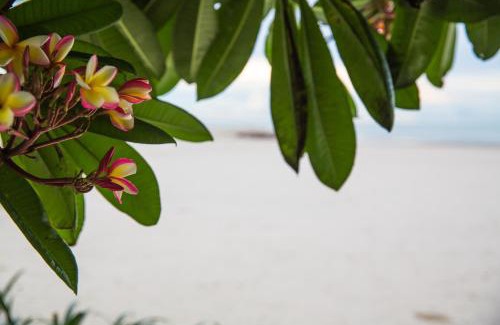 Puk Tian Resort | Verano Beach Villa