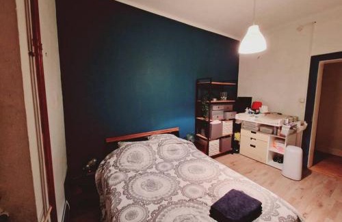 Montagne Verte Apartment | Verdea : Appart tout équipé proche centre