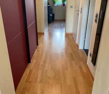 Viktring Apartment | Vermiete wunderschönes Apartment mit Garten in Wörthersee-Nähe