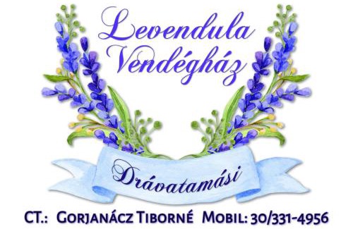 Dravatamasi House | Veronika Guesthouse