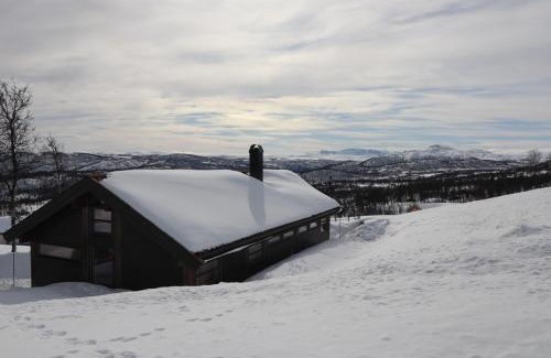 Al House | Veslestølen - Ålhytte with amazing view, 1000 meter