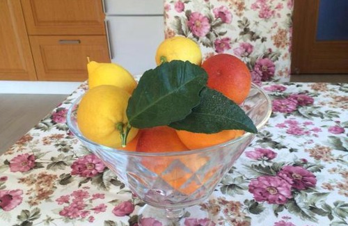 Tekirova Villa | VİLLA NATALİA