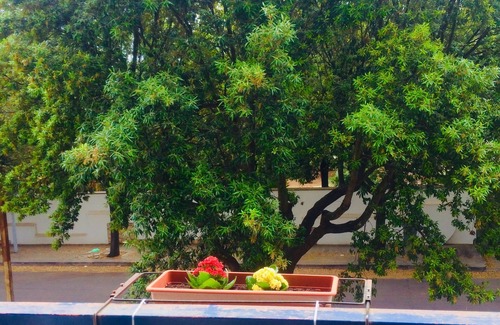 Vernole Apartment | Via De Pace Flat, 18