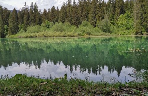 Flims Apartment | Via stenna