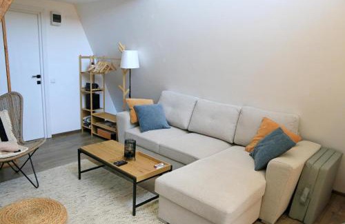 Nucsoara Ski Chalet | VictoriA-Frame