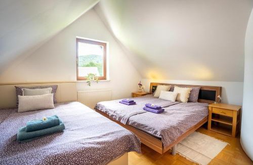 Ribcev Laz Apartment | View apartment Lenart