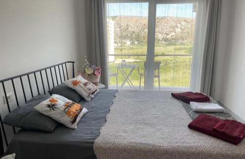 Shengjin Apartment | View of flamingos