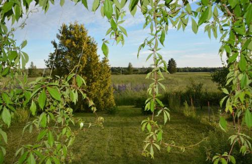 Forssa Apartment | Viihtyisä pikkukoti Forssassa - Tiny cosy home in Forssa