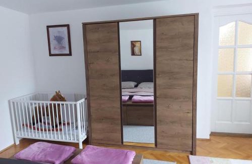 Szigetvar Apartment | Viktória Szálláshely