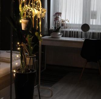 Satu Mare Apartment | Viky Apartment