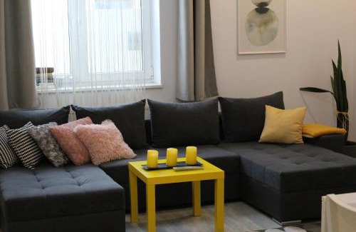 Satu Mare Apartment | Viky Apartment