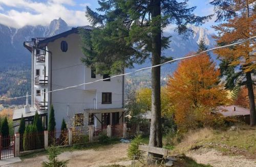 Busteni House | Vila Alunis