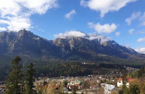 Busteni House | Vila Alunis