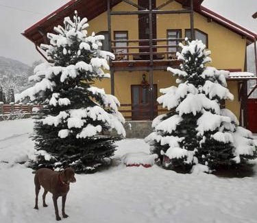 Intorsura Buzaului House | Vila Coman