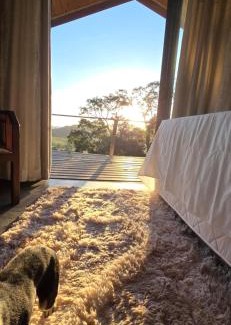 Munhoz House | Vila D'Angelo