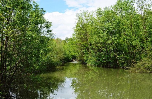 Corbi House | Vila Domneasca