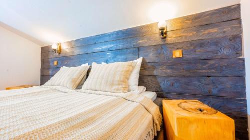 Paltinis House | Vila Stefana Paltinis