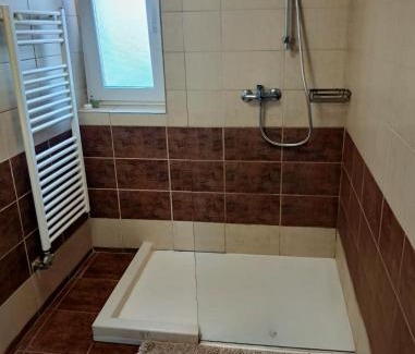 Paltinis House | Vila Stefana Paltinis