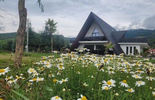 Borsa Resort | Vila Timeea