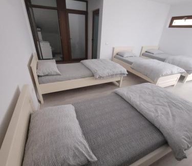 Pitesti House | Vila Vati - Arena Pitesti