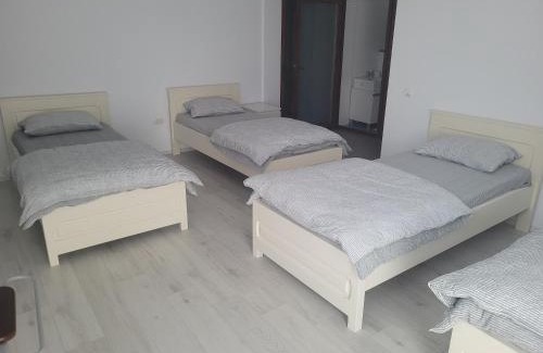 Pitesti House | Vila Vati - Arena Pitesti