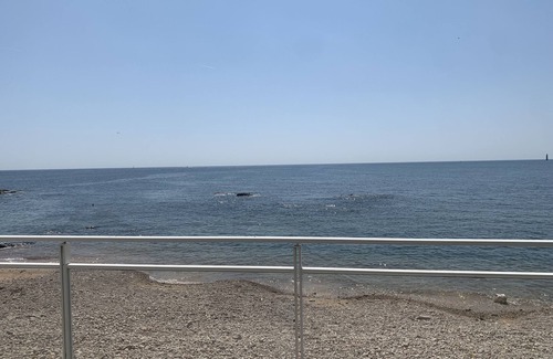 La Chaume House | Villa 7 people direct access to the beach