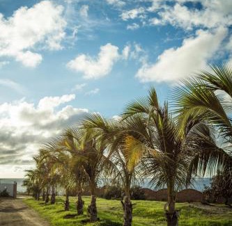 Los Organos Bed & Breakfast | Villa al Fe