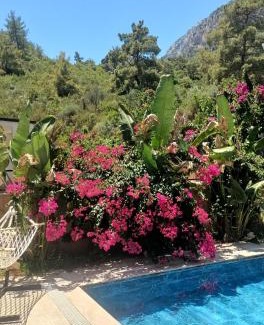 Goynuk Villa | Villa Anı