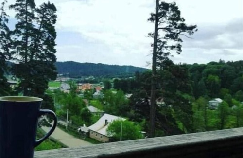 Bakuriani Villa | Villa BarLeon-Bakuriani Three bedroom villa A