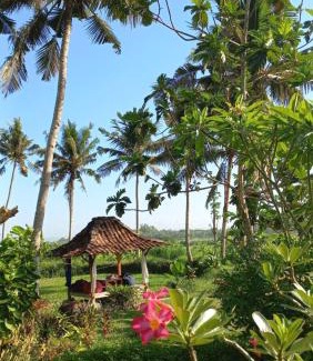 Bangunjiwo Villa | Villa Blue Steps