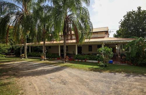 Case-Pilote House | Villa Bord de mer