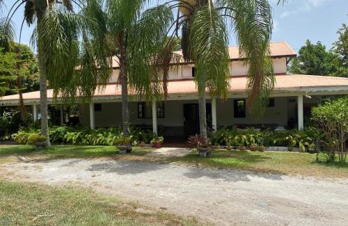 Case-Pilote House | Villa Bord de mer