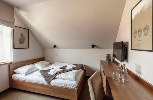 Zieleniec Bed & Breakfast | Villa Cam In Ski