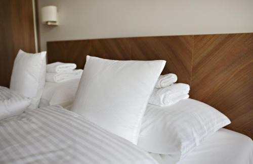 Zieleniec Bed & Breakfast | Villa Cam In Ski