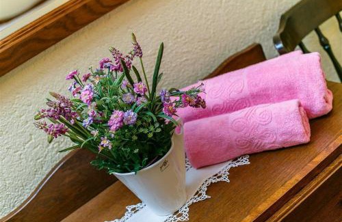 Drivenik House | VILLA CASTRA