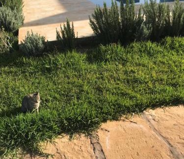 Ounagha Villa | Villa Chaima in Essaouira region